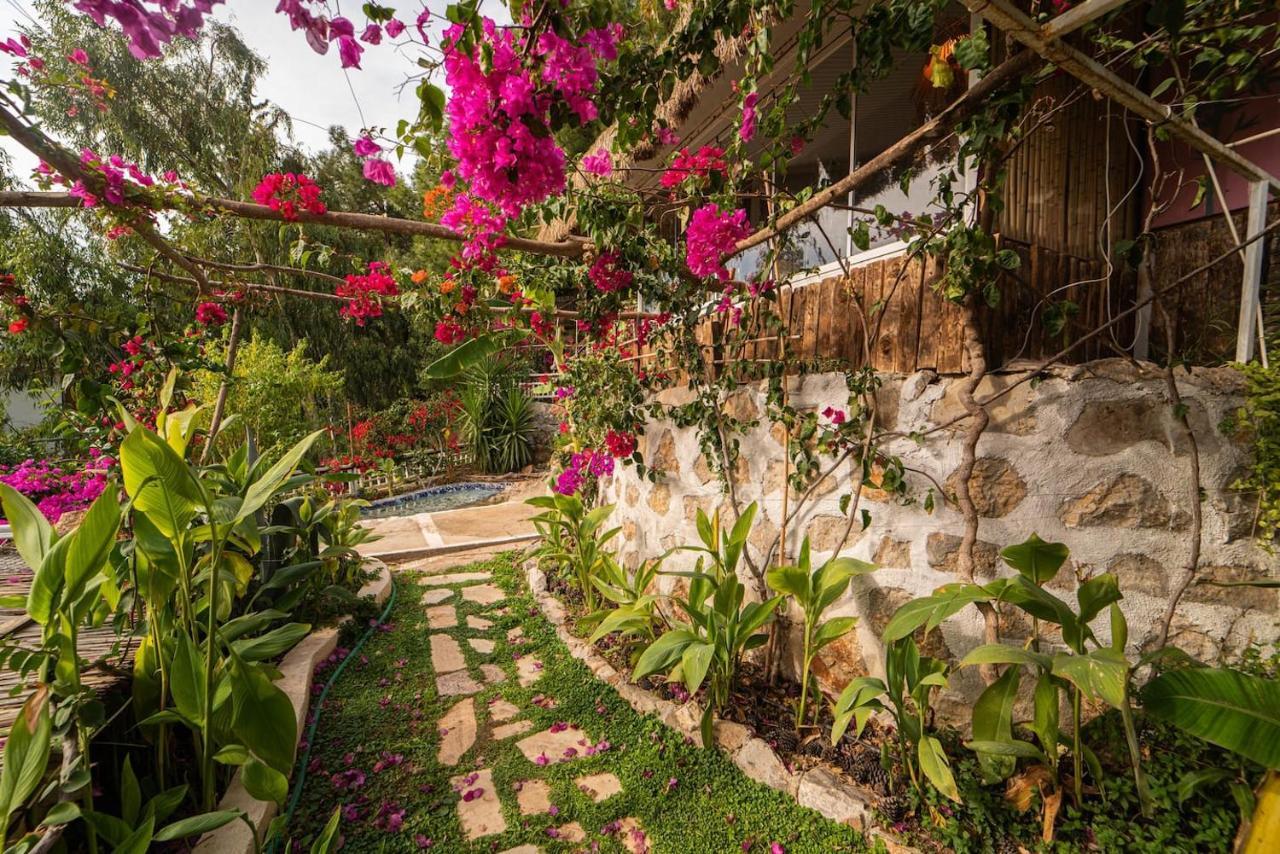 Begonvilla Bungalows Fethiye Luaran gambar
