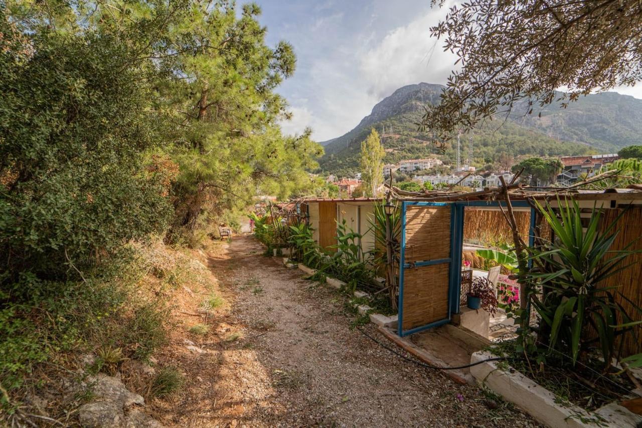 Begonvilla Bungalows Fethiye Luaran gambar