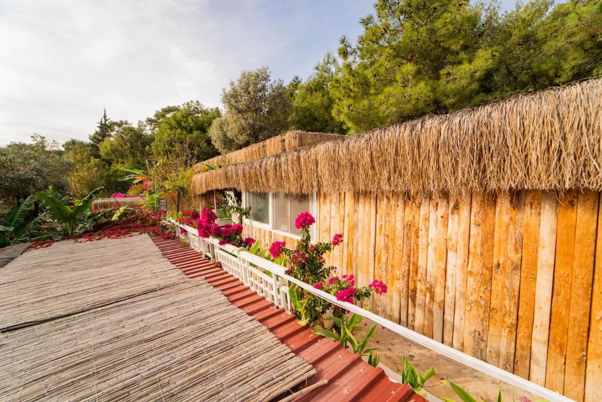 Begonvilla Bungalows Fethiye Luaran gambar